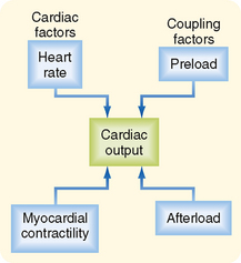 Integrated Control of the Cardiovascular System | Basicmedical Key