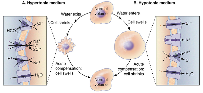 Cell Biology By Pollard And Earnshaw