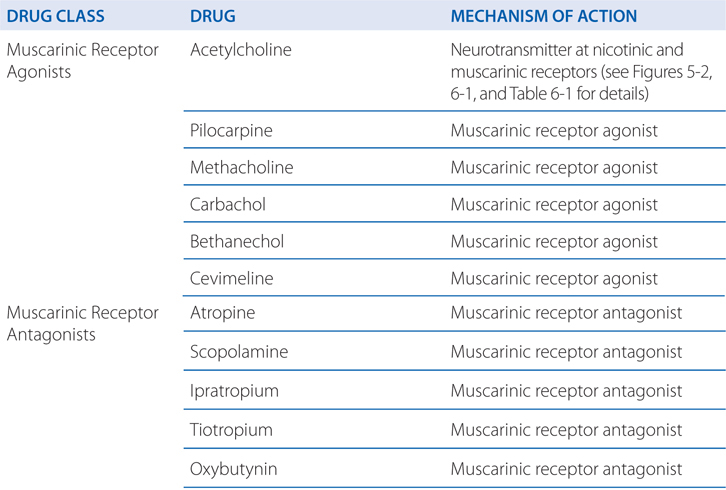 Buy gabapentin 800 mg