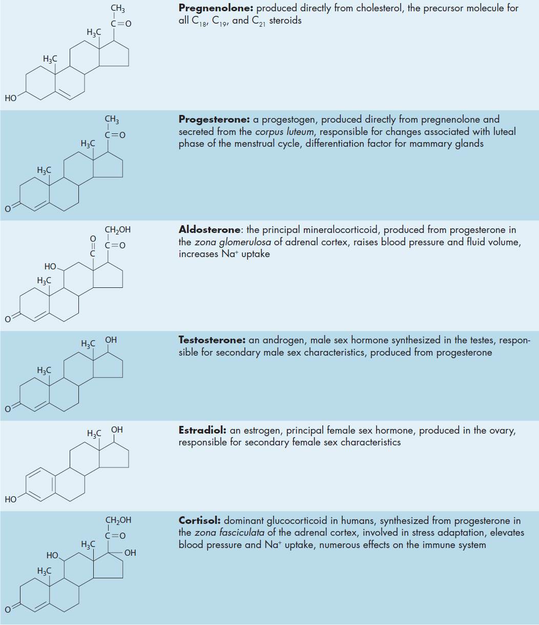 50 Steroid and Thyroid Hormones | Basicmedical Key