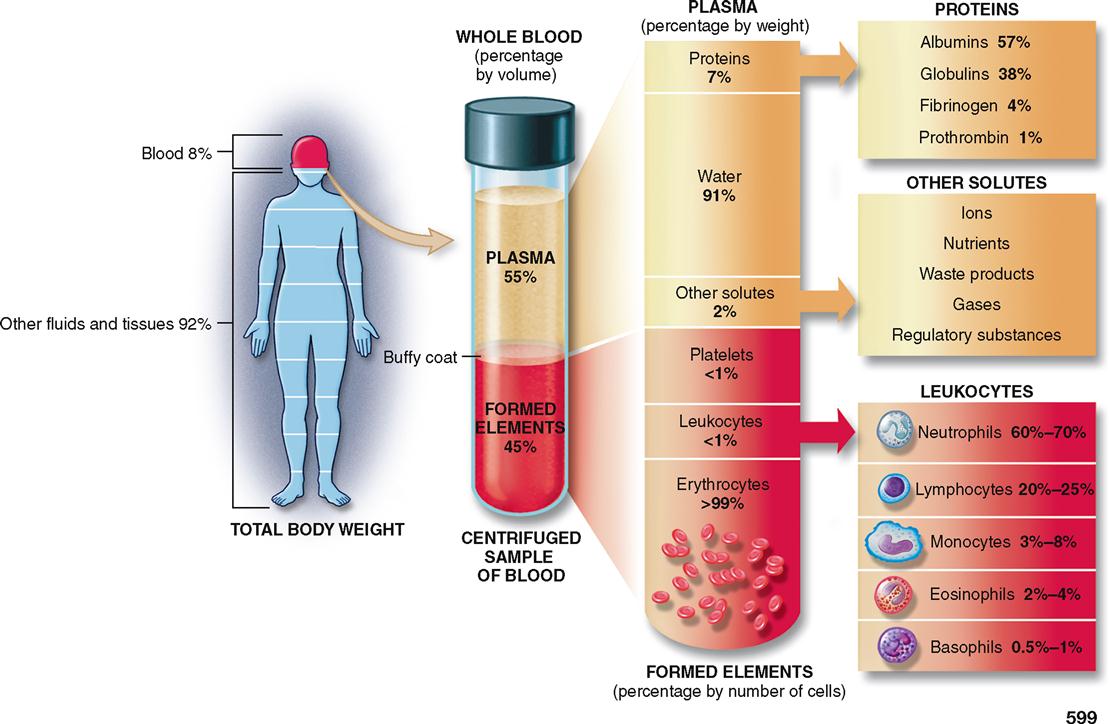 what is the major components of blood and bodily fluids