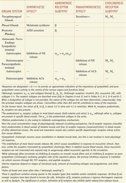 Neurotransmission: The Autonomic and Somatic Motor Nervous Systems