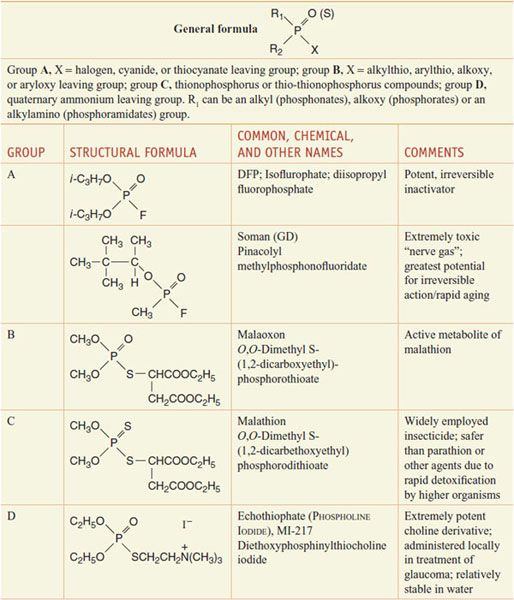 Anticholinesterase Agents Basicmedical Key