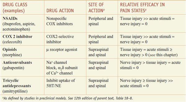 Opioids, Analgesia, And Pain Management | Basicmedical Key