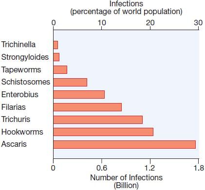 viermi de giardia la oameni hpv immunization side effects male