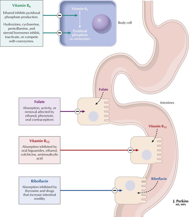 Vitamins: Deficiencies And Drug Interactions | Basicmedical Key