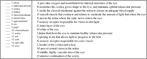 eye-and-adnexa-basicmedical-key