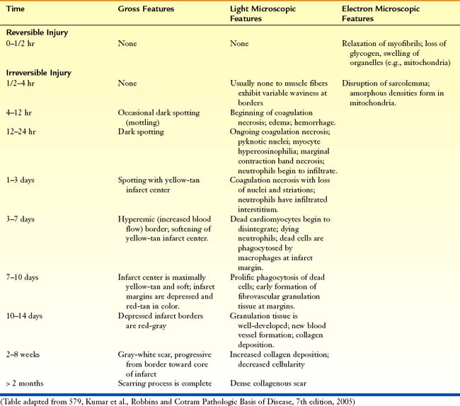 12 | Basicmedical Key