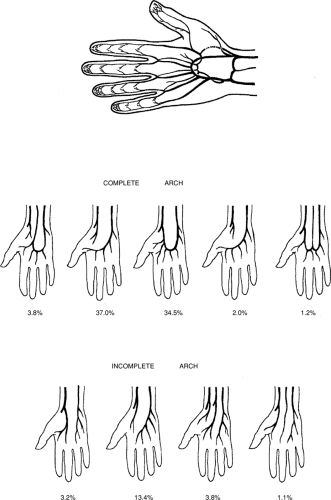 Arteries Of The Upper Extremity | Basicmedical Key