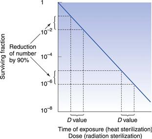 Principles Of Sterilization Basicmedical Key