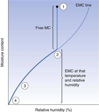 Drying Systems - Drying Curve - Definition