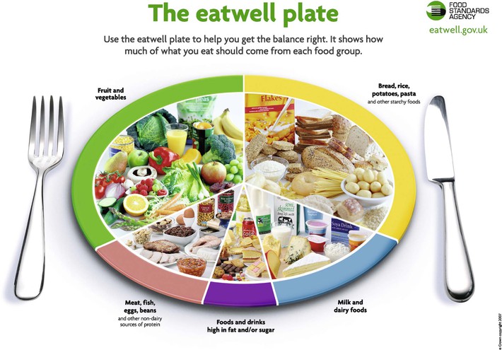 Introduction to nutrition | Basicmedical Key