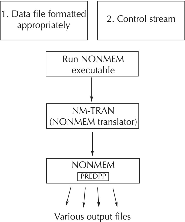 nonmem theta fixed effects parameters