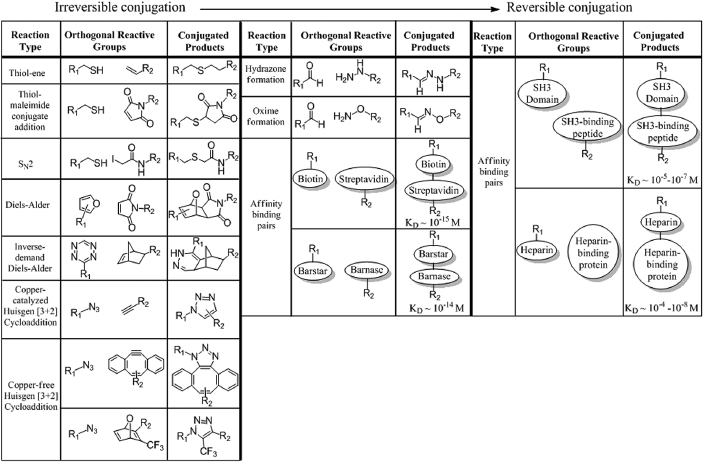 c1-fig-0002