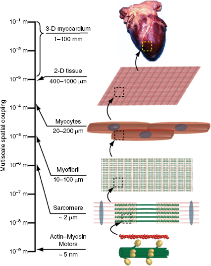 c12-fig-0001