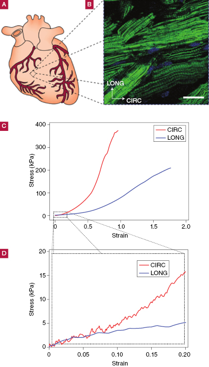 c12-fig-0003