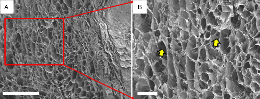 c12-fig-0006