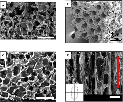 c12-fig-0007