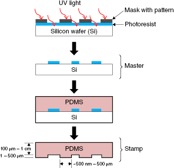 c13-fig-0003