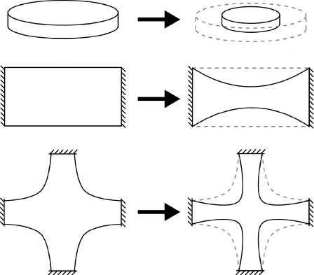 c15-fig-0001