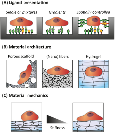 c16-fig-0002