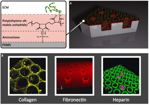 c16-fig-0003