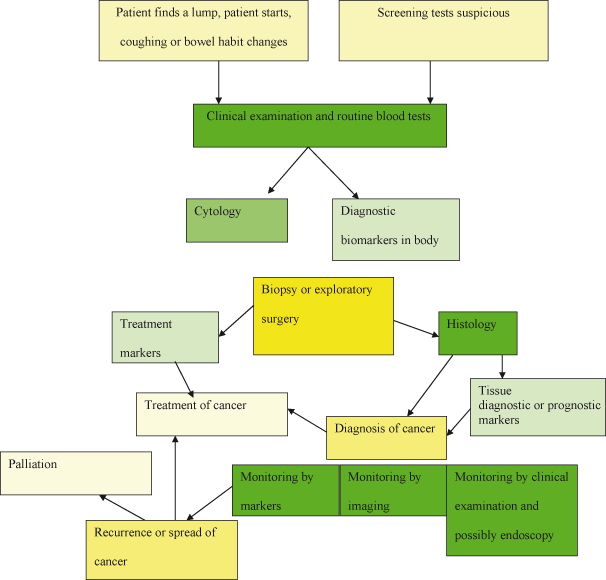 Biologically Targeted Agents From Bench To Bedside | Basicmedical Key