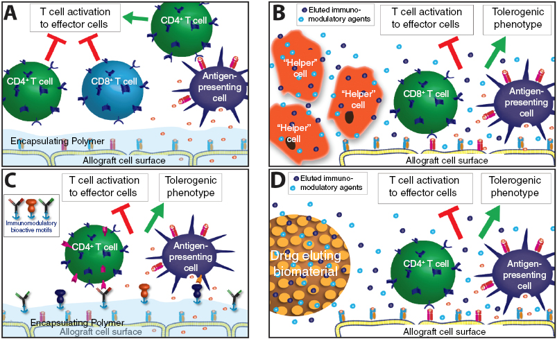 c17-fig-0002