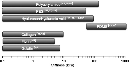 c2-fig-0001