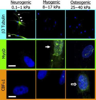 c2-fig-0002