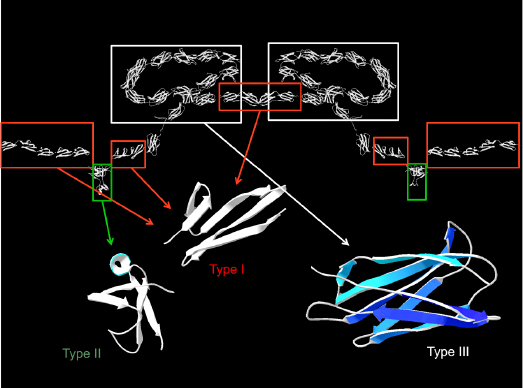 c6-fig-0001