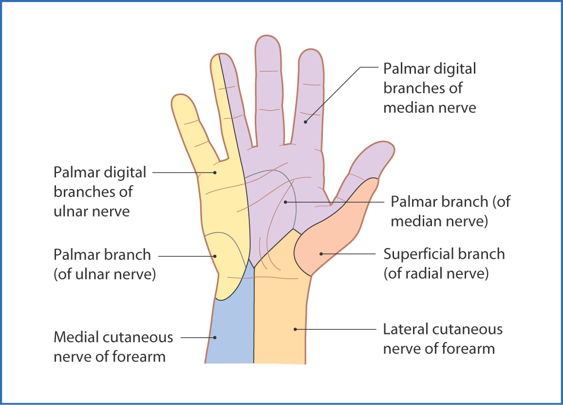 Trick of the Trade: Hemostasis of bleeding finger laceration using a glove