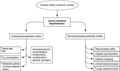 Metabolism and stress management