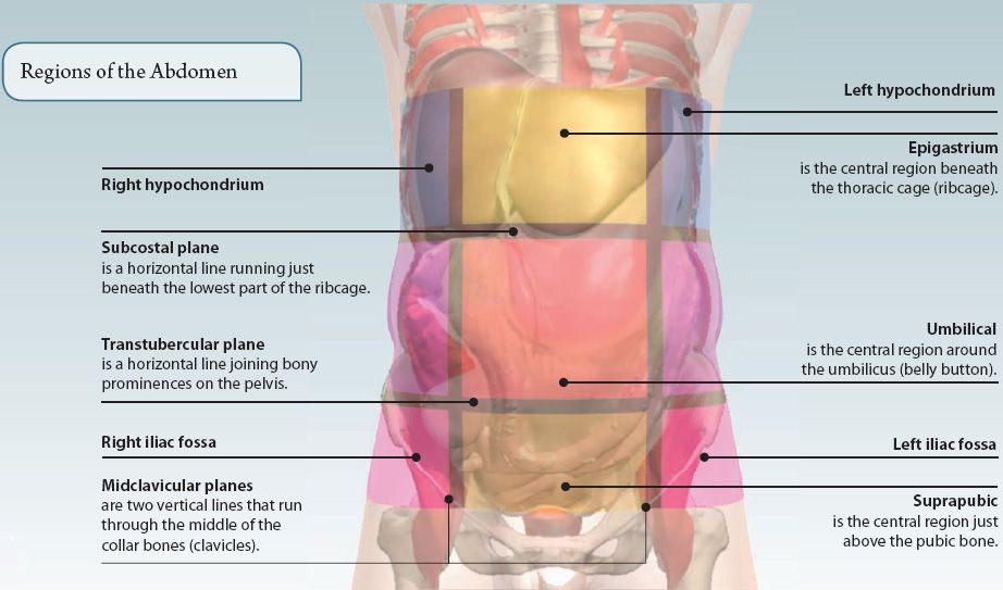 Gas In Lower Left Abdomen Lower Left Abdominal Pain MMED Gas In Lower Left Abdomen Lower Left Abdominal Pain MMED