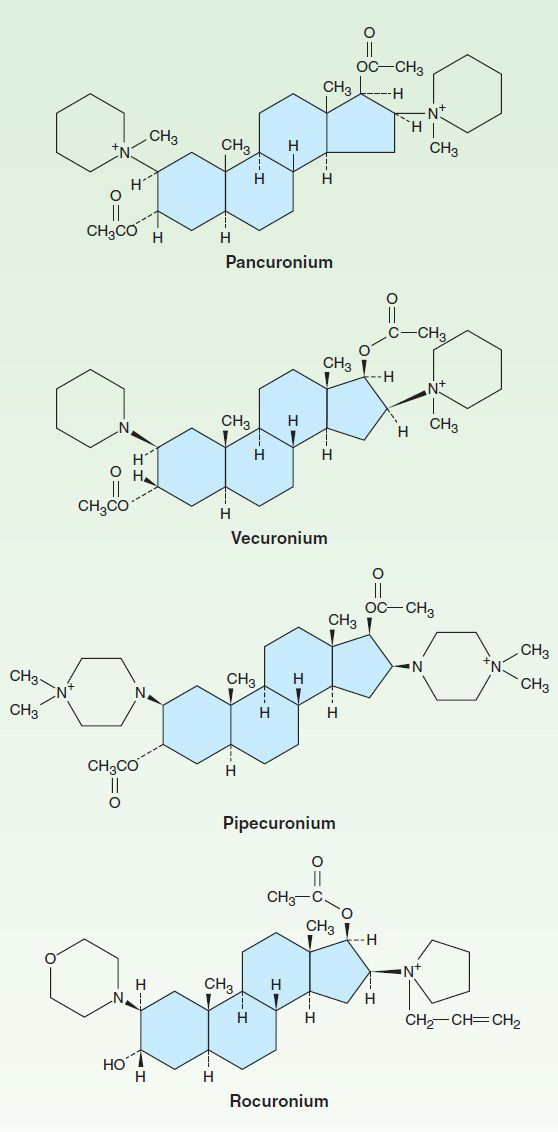 https://basicmedicalkey.com/wp-content/uploads/2016/06/image02489.jpeg