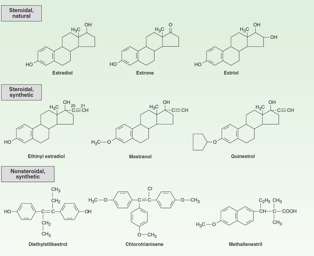 Эстроген. Эстрадиол схема. Эстрогены схема. Эстрадиола дипропионат формула. Синтез эстриола.