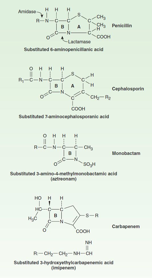 Penicillin g beta lactam