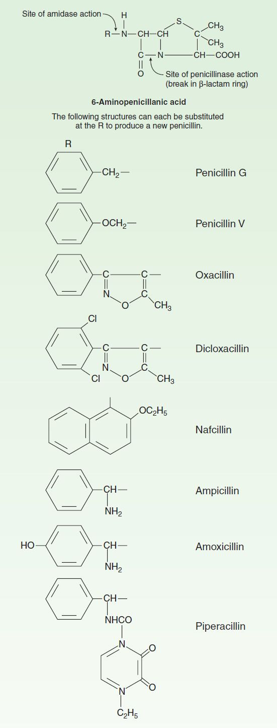 Breakthrough in β-lactam synthesis using nick | EurekAlert!