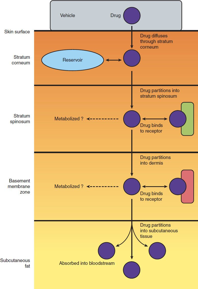 Drug-Induced Rhabdomyolysis: From Systems Pharmacology Analysis to  Biochemical Flux