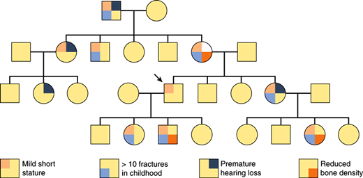 Genetic Disease | Basicmedical Key