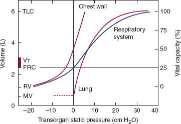 Pulmonary Disease | Basicmedical Key