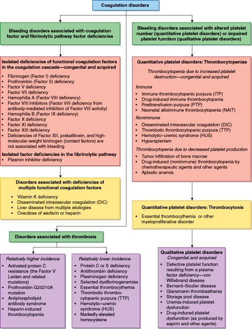 Bleeding And Thrombotic Disorders Basicmedical Key