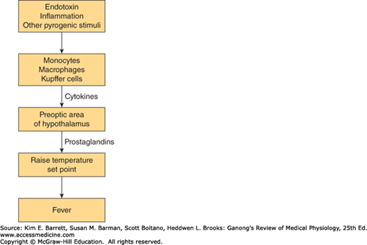 Hypothalamic Regulation Of Hormonal Functions | Basicmedical Key