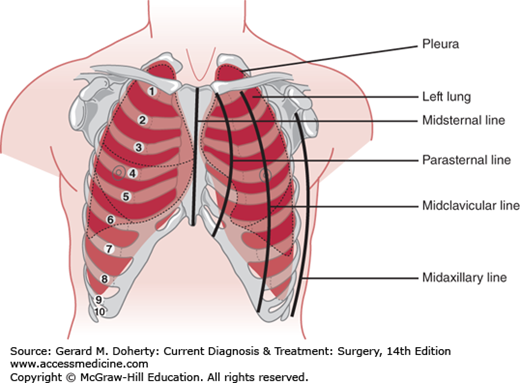 Thorax 1: Anatomy of the Thoracic Wall