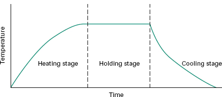 Survivor curve of sterilization