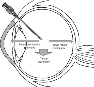 A327310_1_En_3_Fig2_HTML.jpg