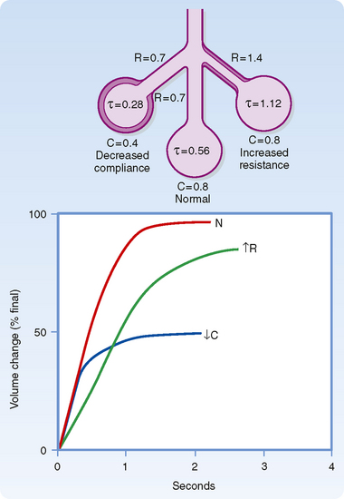 Ventilation V Perfusion Q And V Q Relationships Basicmedical Key