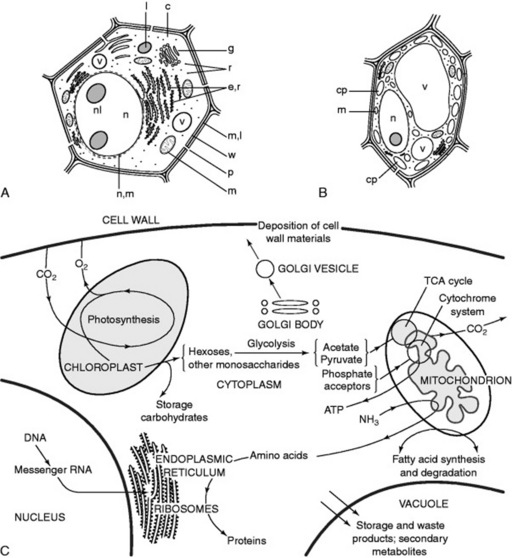 Material Origin - Material Pathways