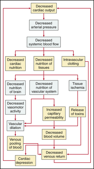 7 | Basicmedical Key