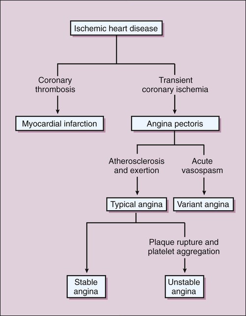 Pathophysiology Of Angina Pectoris Schematic Diagram Pathophysiology ...